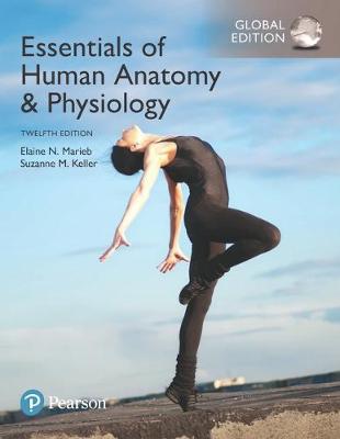 Essentials of Human Anatomy & Physiology, Global Edition - Click Image to Close